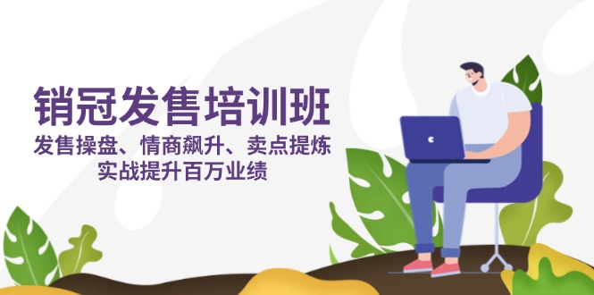 销冠 发售培训班：发售 操盘+情商 飙升+卖点 提炼，实战提升百万业绩-天时网