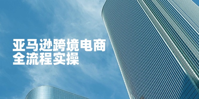 亚马逊跨境电商全流程实操，教你从零开始，掌握店铺运营与广告技巧-天时网