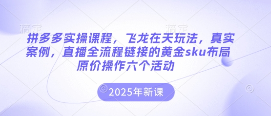 拼多多实操课程，飞龙在天玩法，真实案例，直播全流程链接的黄金sku布局原价操作六个活动-天时网