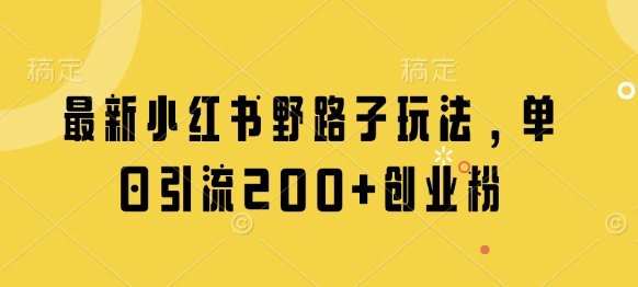 最新小红书野路子玩法，单日引流200+创业粉-天时网