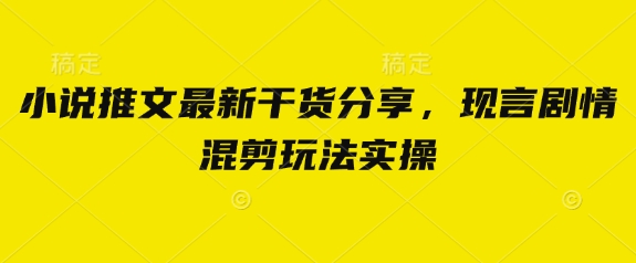 小说推文最新干货分享，现言剧情混剪玩法实操-天时网