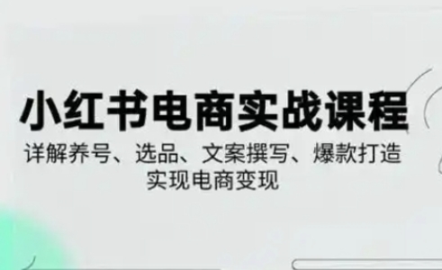小红书从0-1实操课(2023-2025)，详解养号、选品、文案撰写、爆款打造实现电商变现-天时网