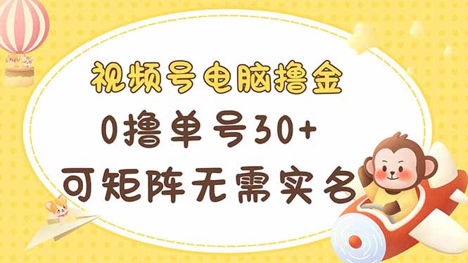 视频号电脑撸金 0撸单号30+ 可矩阵 无需实名多号多得-天时网