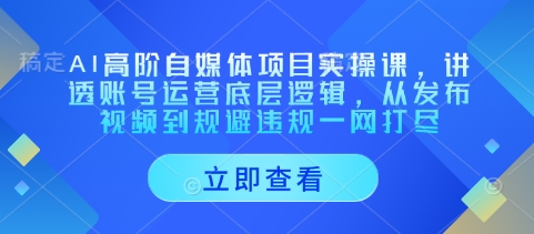 AI高阶自媒体项目实操课，讲透账号运营底层逻辑，从发布视频到规避违规一网打尽-天时网