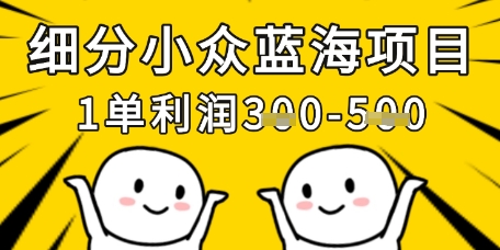 细分小众蓝海项目，一单利润3张，每月收入稳定过1w+-天时网