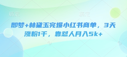 即梦+林黛玉完爆小红书商单，3天涨粉1千，靠怼人月入5k+-天时网