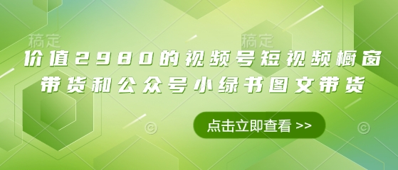 价值2980的视频号短视频橱窗带货和公众号小绿书图文带货-天时网